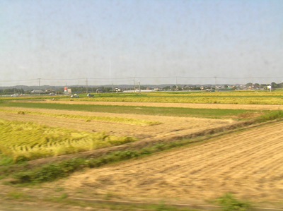 e0066210_2358111.jpg