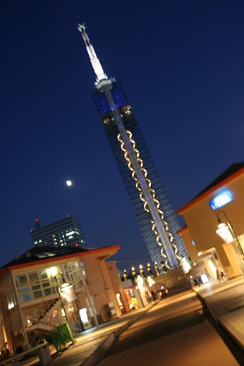 e0002214_239477.jpg