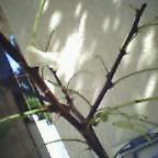 c0050522_1943124.jpg