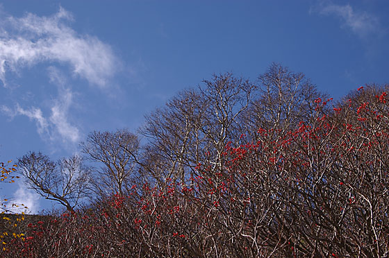 e0025030_18421847.jpg