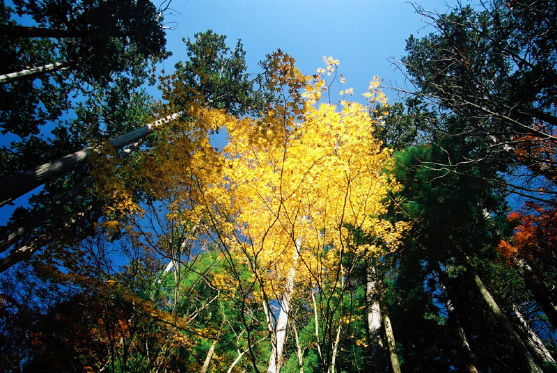 e0016732_2274670.jpg