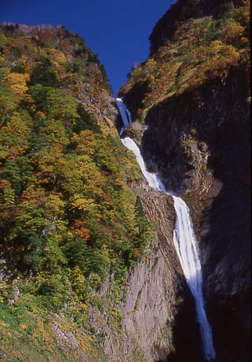 e0010134_812159.jpg