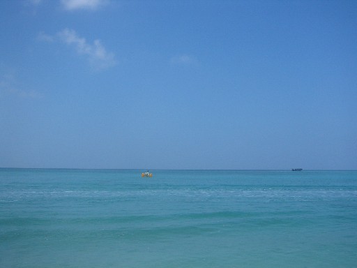 b0042138_16352630.jpg