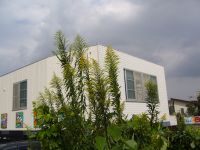 e0080345_8204028.jpg