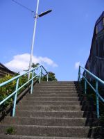 e0080345_9412371.jpg