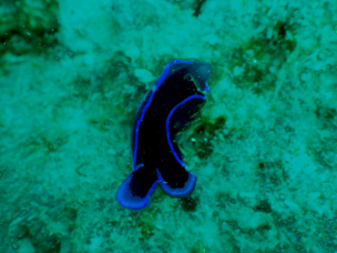 d0065247_21515255.jpg