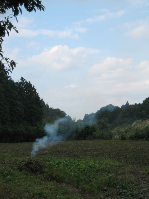 e0009147_16155587.jpg