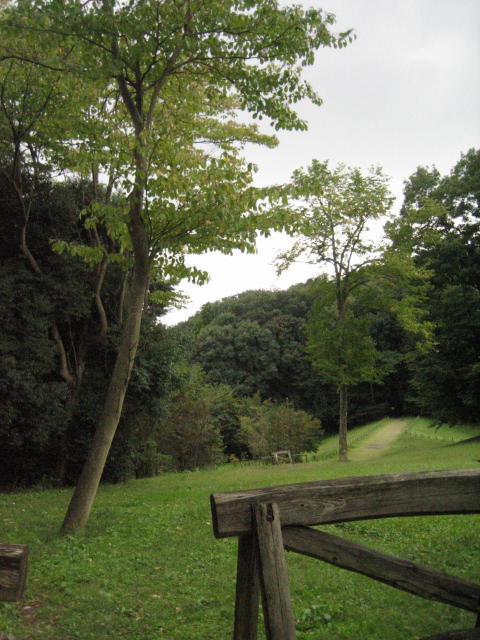 e0009147_18141154.jpg