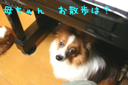 d0013149_091014.jpg