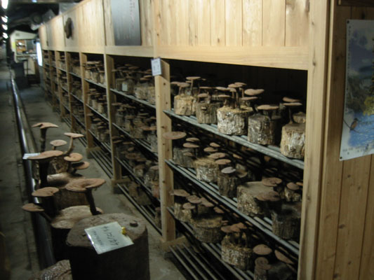d0012960_13294126.jpg