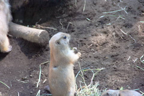 e0086860_23151540.jpg