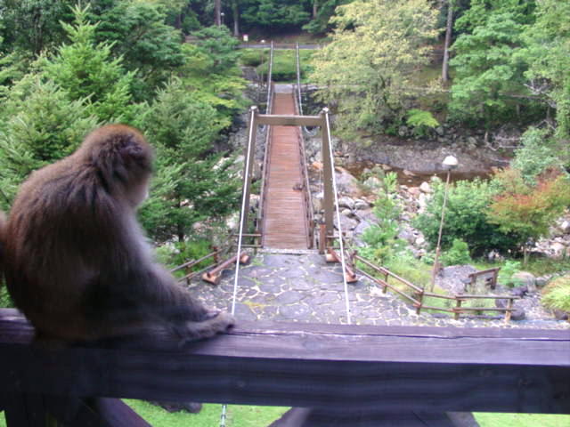 d0039766_18224274.jpg