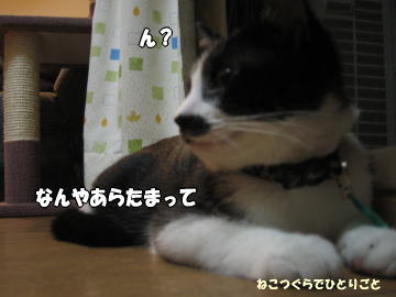 b0041182_9495816.jpg