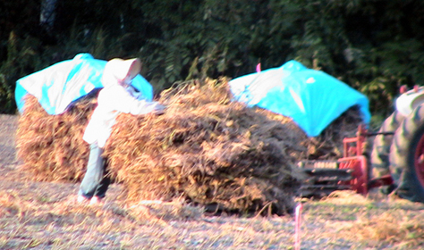 c0016987_21561841.jpg