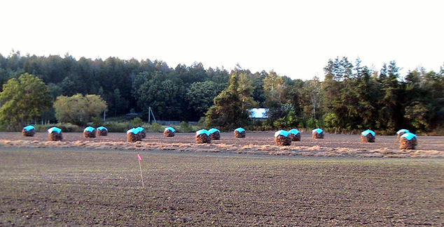 c0016987_21572278.jpg