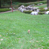 e0009391_1333352.jpg