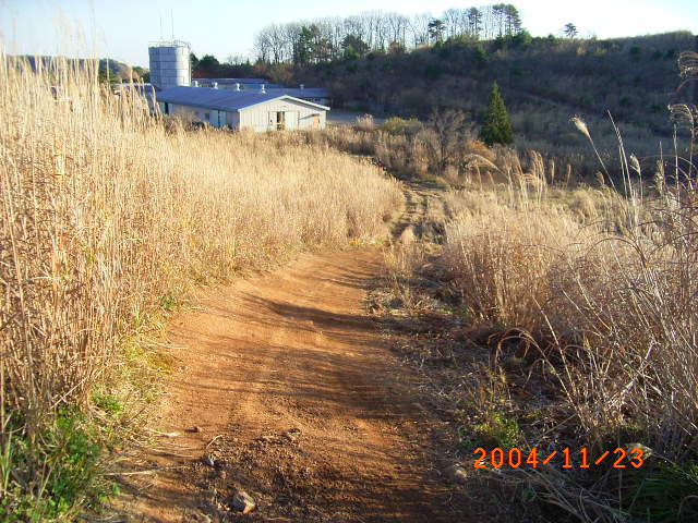b0050305_23545476.jpg
