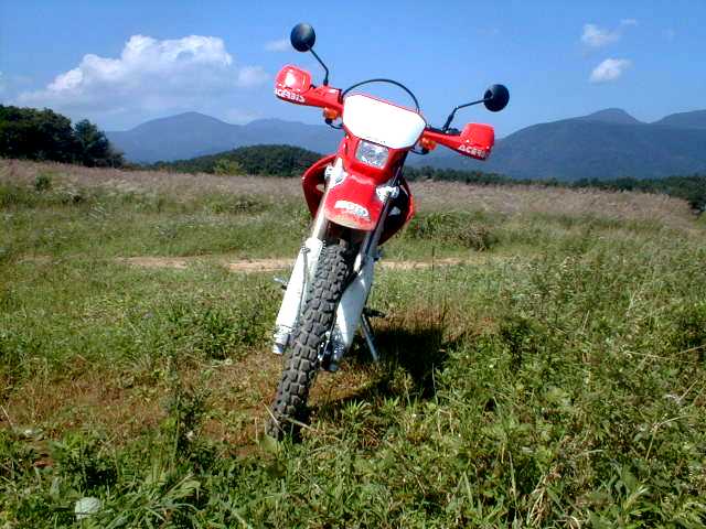 b0050305_23552123.jpg