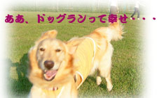 e0072606_16511186.jpg