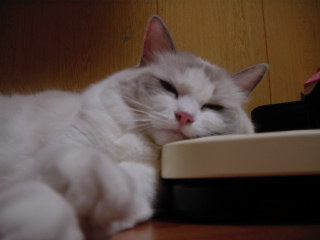 c0024410_2028359.jpg