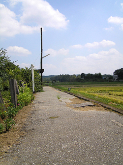 e0066210_0184970.jpg