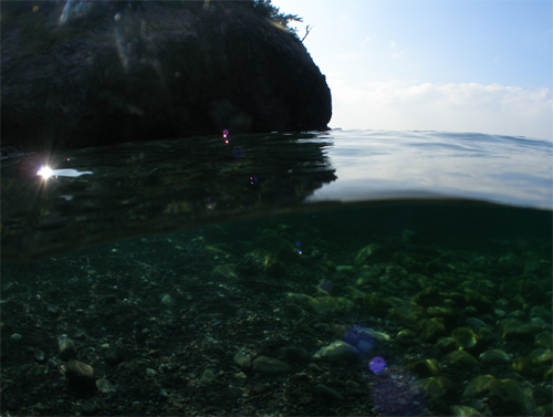 c0024719_2149268.jpg