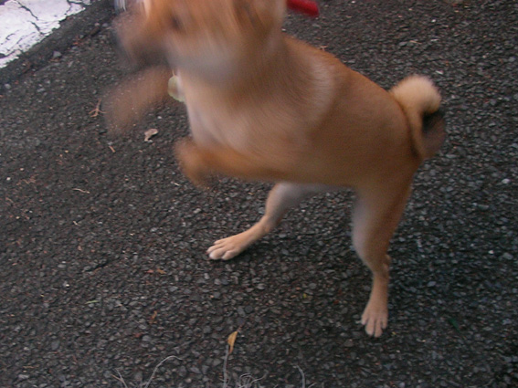 c0035838_206233.jpg