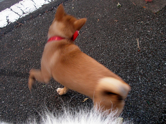 c0035838_2072794.jpg