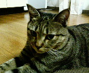 c0025840_11203146.jpg