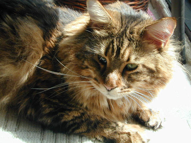 e0005545_12132010.jpg