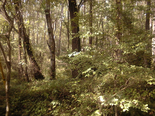 e0016150_10512824.jpg