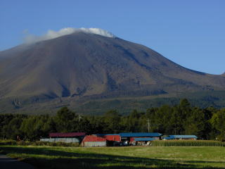 e0088260_0471845.jpg