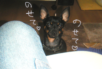 c0012571_19361550.gif