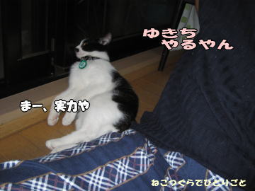 b0041182_16582768.jpg