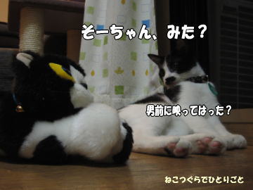 b0041182_16585880.jpg