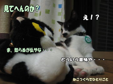 b0041182_16591132.jpg