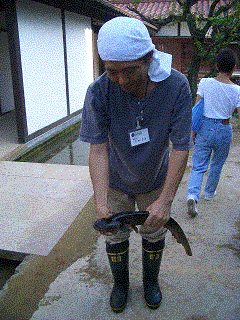 d0034082_18522447.gif