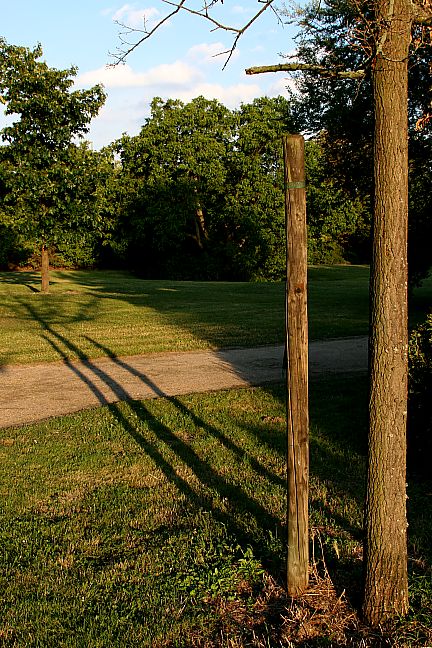 c0023993_8395837.jpg