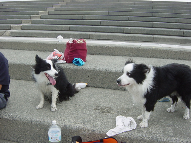 e0028401_22151472.jpg