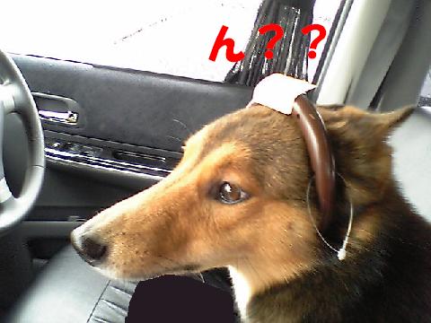 d0032004_2331226.jpg