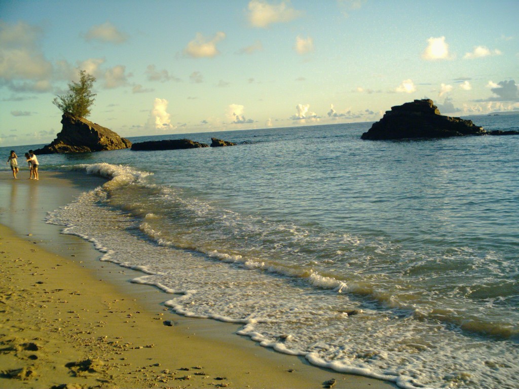 e0036407_1804313.jpg