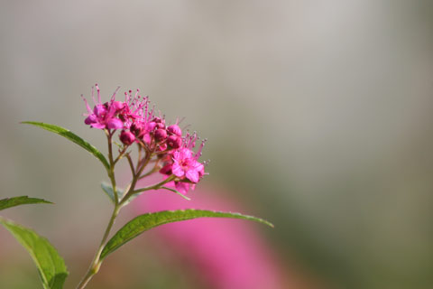 e0001123_14522315.jpg