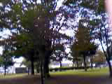 a0020929_1385116.jpg
