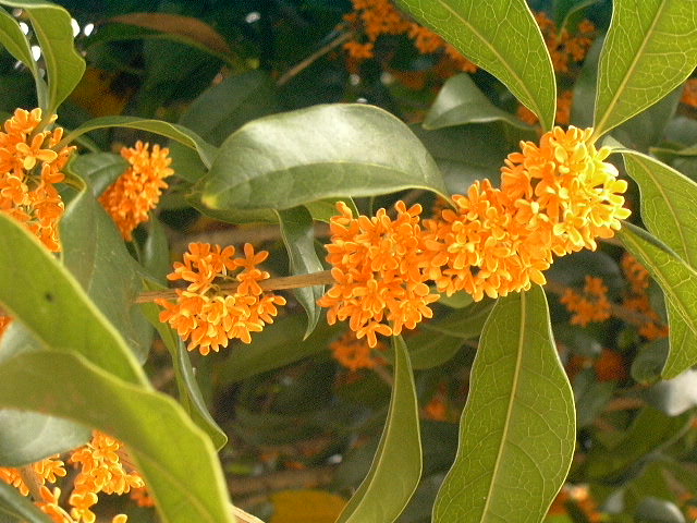 c0073633_22555243.jpg