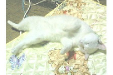 c0011446_2126022.jpg