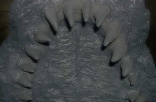 d0020248_20593451.jpg