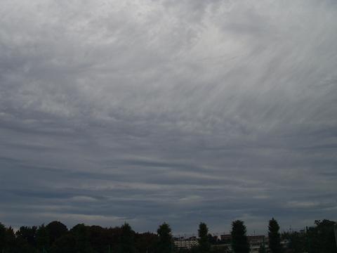 d0008157_23522191.jpg