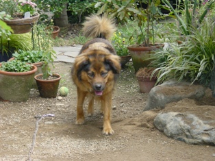 e0015964_120441.jpg