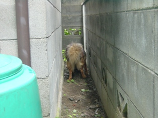 e0015964_12105622.jpg