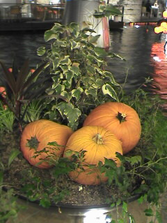 a0001668_23153397.jpg